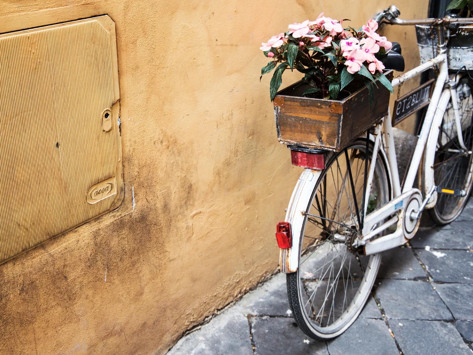 Un vélo blanc garé contre un mur ocre, une caisse en bois remplie de fleurs roses sur le porte-bagages.