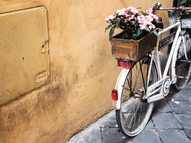 Un vélo blanc garé contre un mur ocre, une caisse en bois remplie de fleurs roses sur le porte-bagages.
