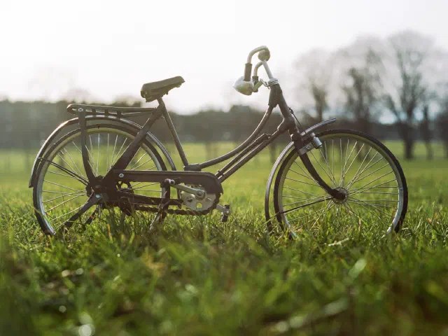 Un vieux vélo de ville noir posé dans l'herbe d'un parc, arbres dans la lumière douce du soir.