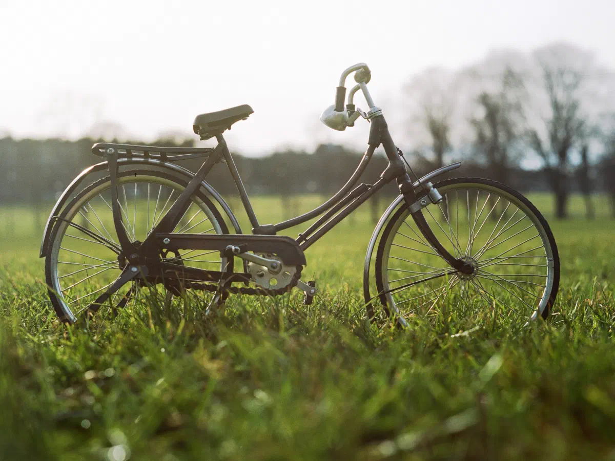 Un vieux vélo de ville noir posé dans l'herbe d'un parc, arbres dans la lumière douce du soir.